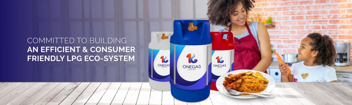 About us - ONEGAS Limited